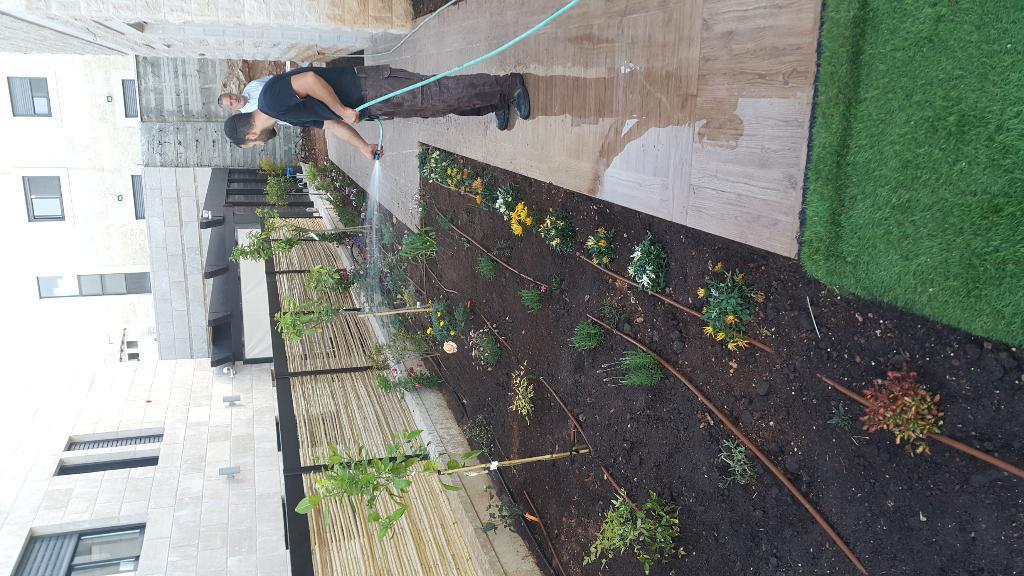 אלירן הגנן אלירן הגנן