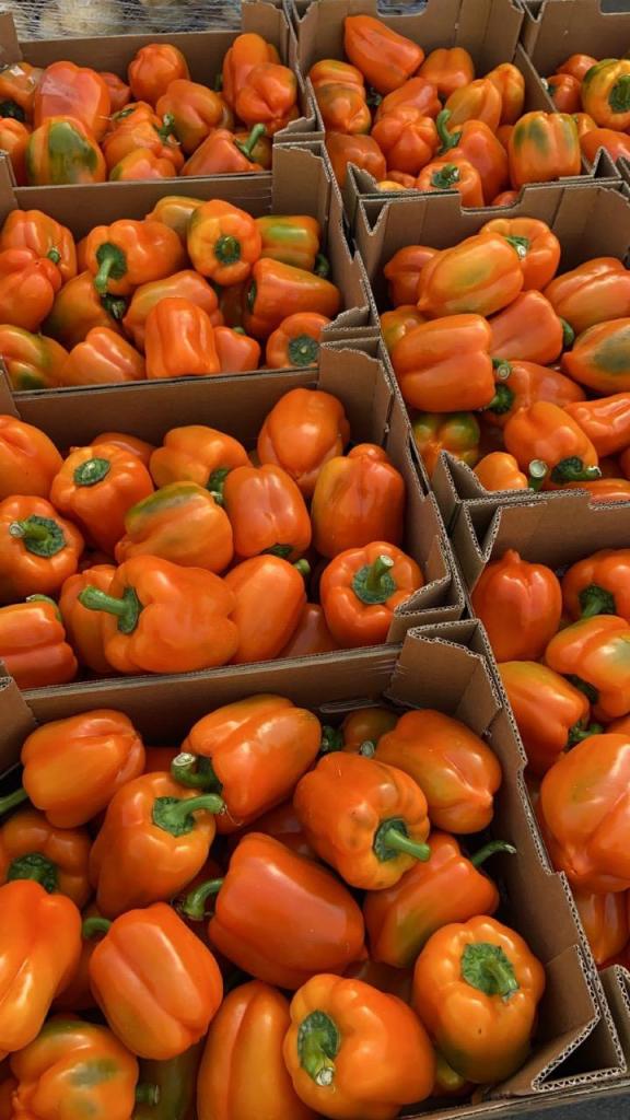 פירות וירקות אבו אמיר פירות וירקות אבו אמיר