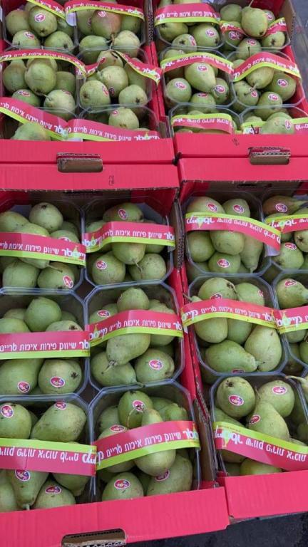 פירות וירקות אבו אמיר פירות וירקות אבו אמיר