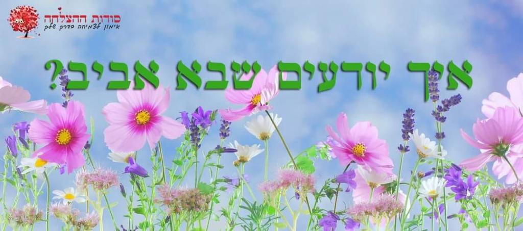 דפנה דפי חרותי דפנה דפי חרותי