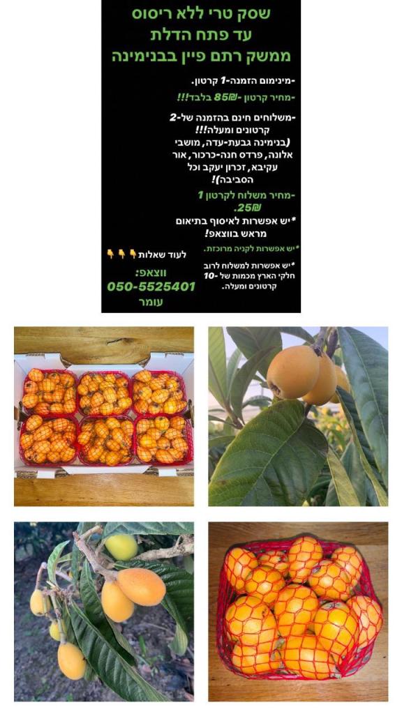 משק רתם פיין משק רתם פיין