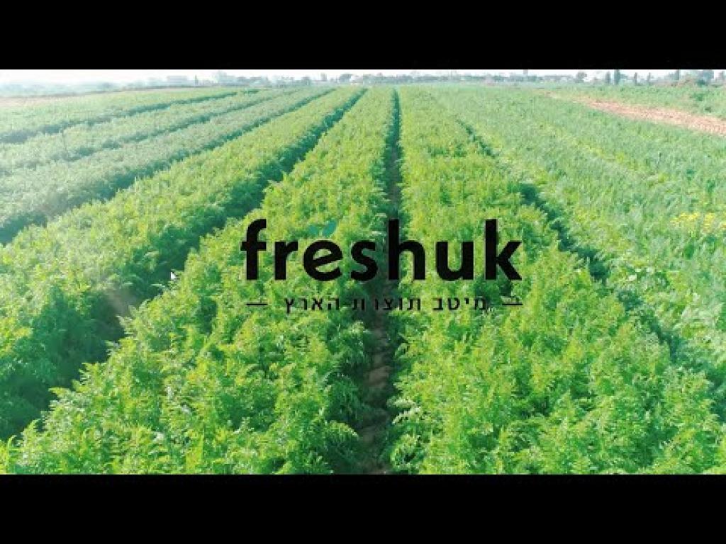 פרשוק פרשוק