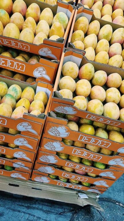 פרשוק פרשוק