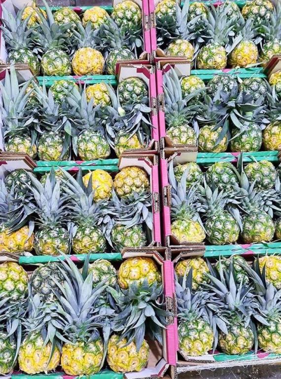 פרשוק פרשוק