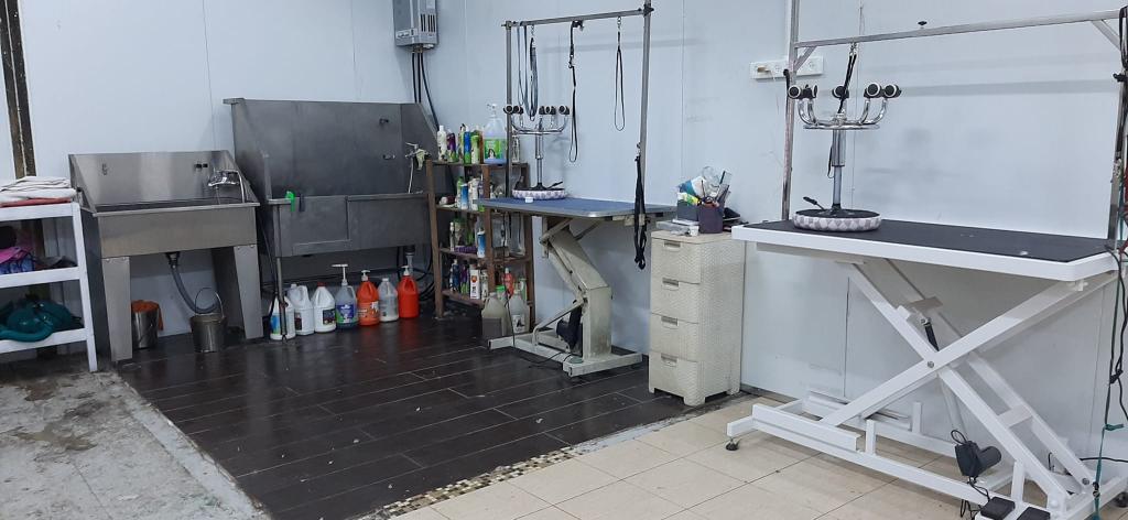 אחוזת הכלבים אחוזת הכלבים