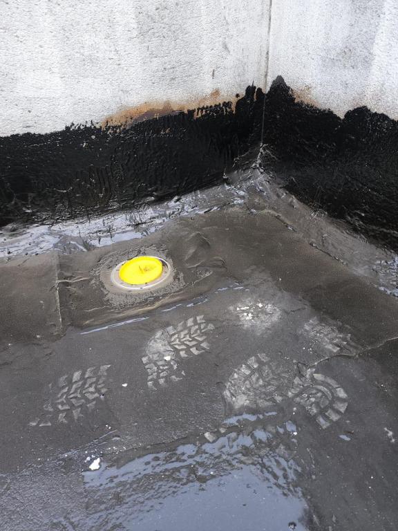 אבינועם רוח אבינועם רוח