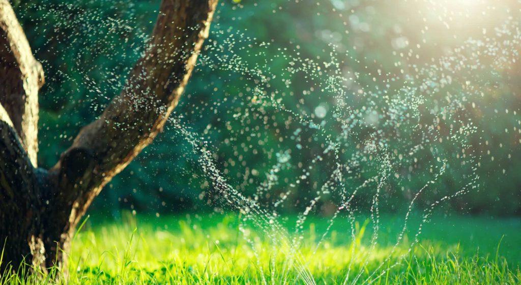 טי.אר.אף טרופ שיווק טי.אר.אף טרופ שיווק