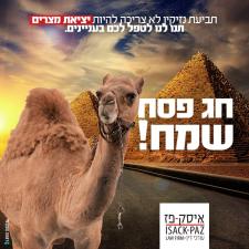 יצחק פז