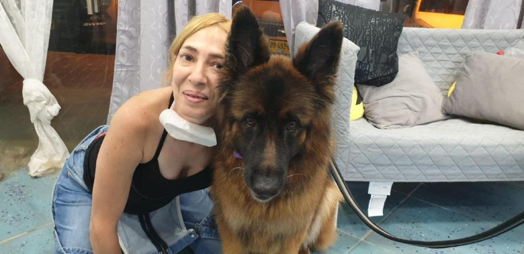 פונפונים מספרת כלבים פונפונים מספרת כלבים