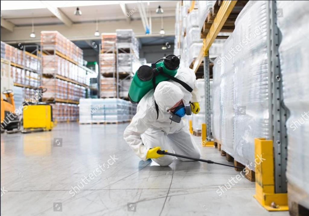 Mgp הדברה אחזקה וחיטויים Mgp הדברה אחזקה וחיטויים