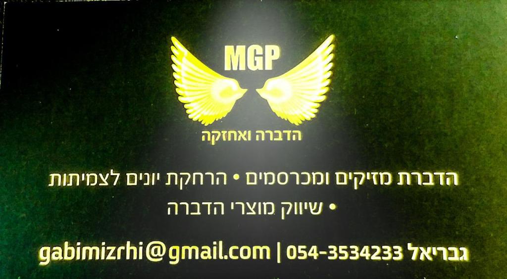 Mgp הדברה אחזקה וחיטויים Mgp הדברה אחזקה וחיטויים