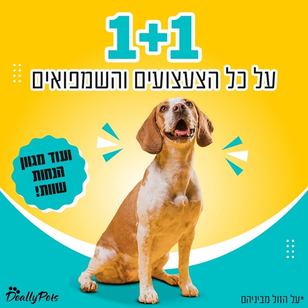 דיילפטס דיילפטס