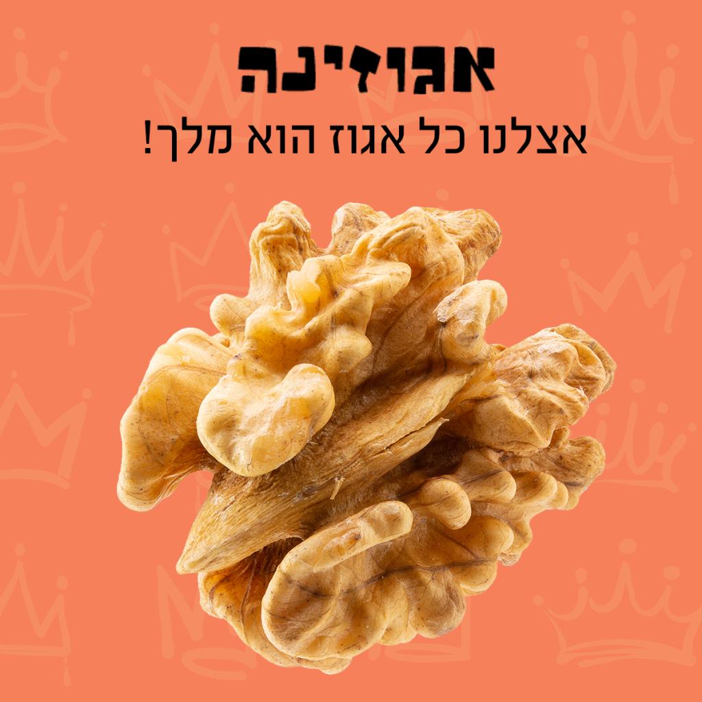 אגוזינה אגוזינה