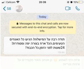 אגוזינה