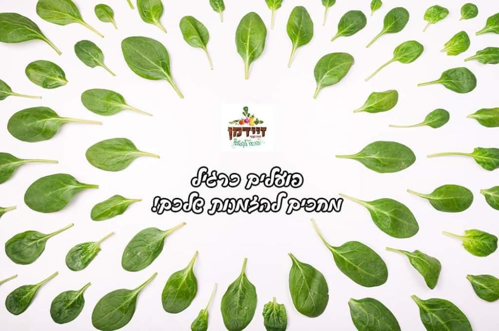 הכפרייה של משק זיידמן הכפרייה של משק זיידמן