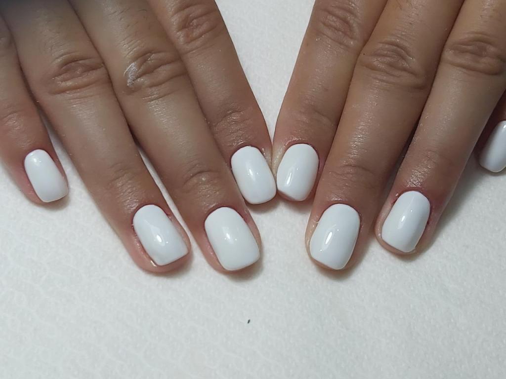 אלינור אלינור