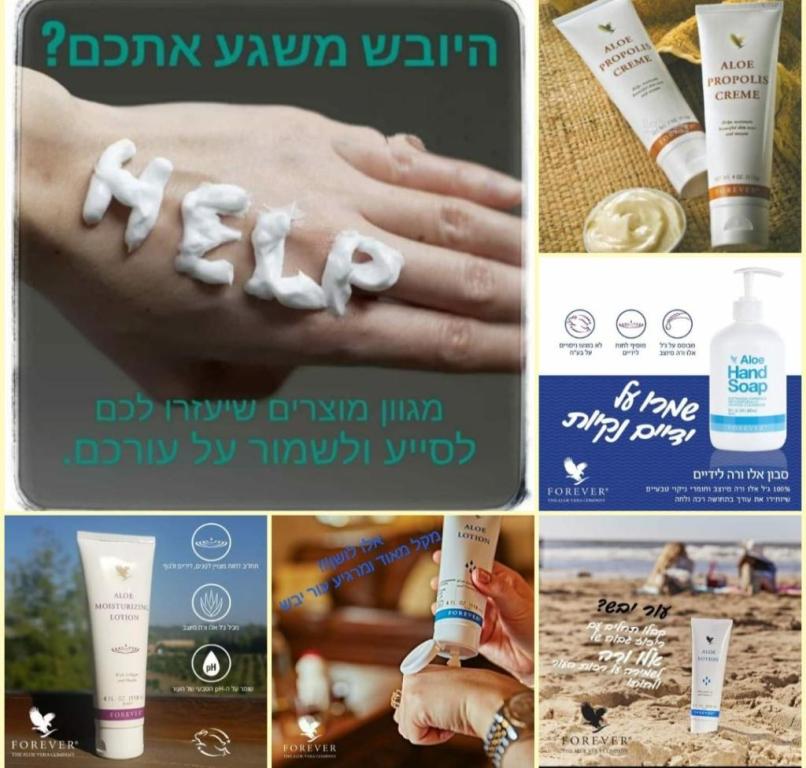 גילה שלו מוצרי אלוורה גילה שלו מוצרי אלוורה