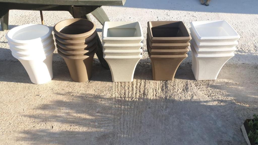 משתלת אורייה משתלת אורייה