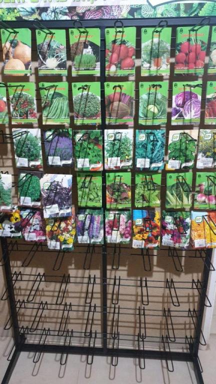 משתלת אורייה משתלת אורייה