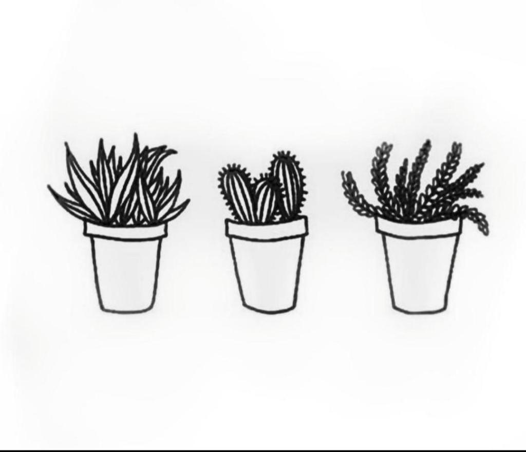 Little alma Little alma