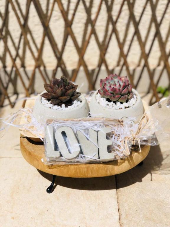 Little alma Little alma