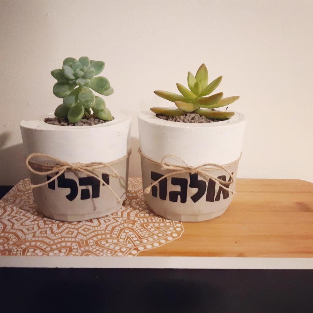 Little alma Little alma