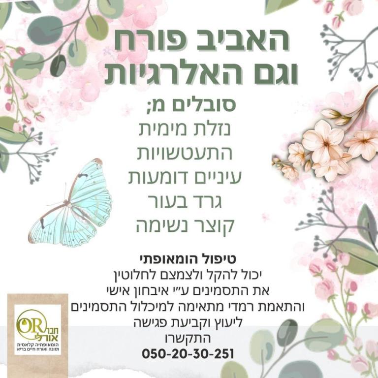 אורלי חבר אורלי חבר