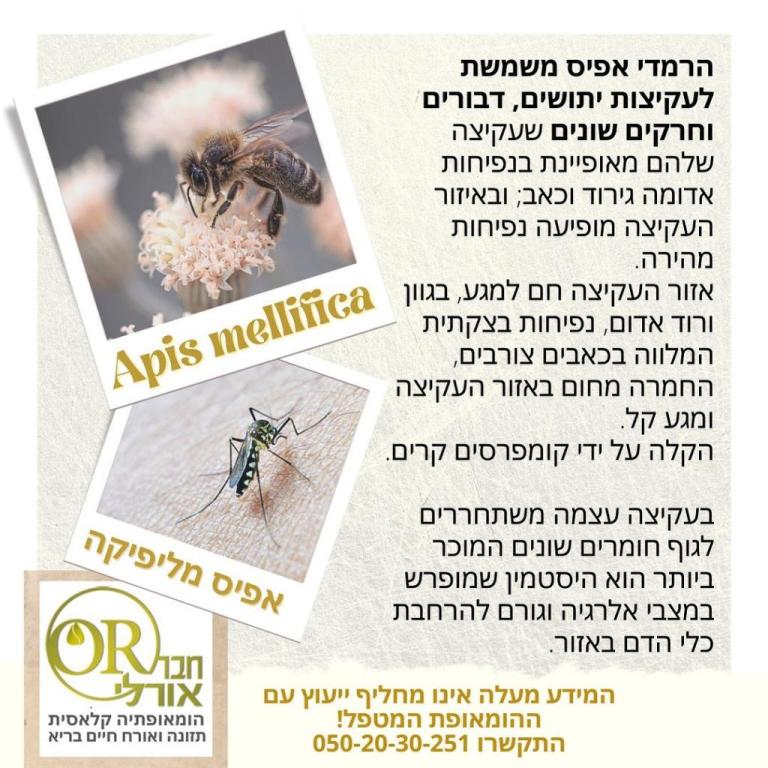 אורלי חבר אורלי חבר