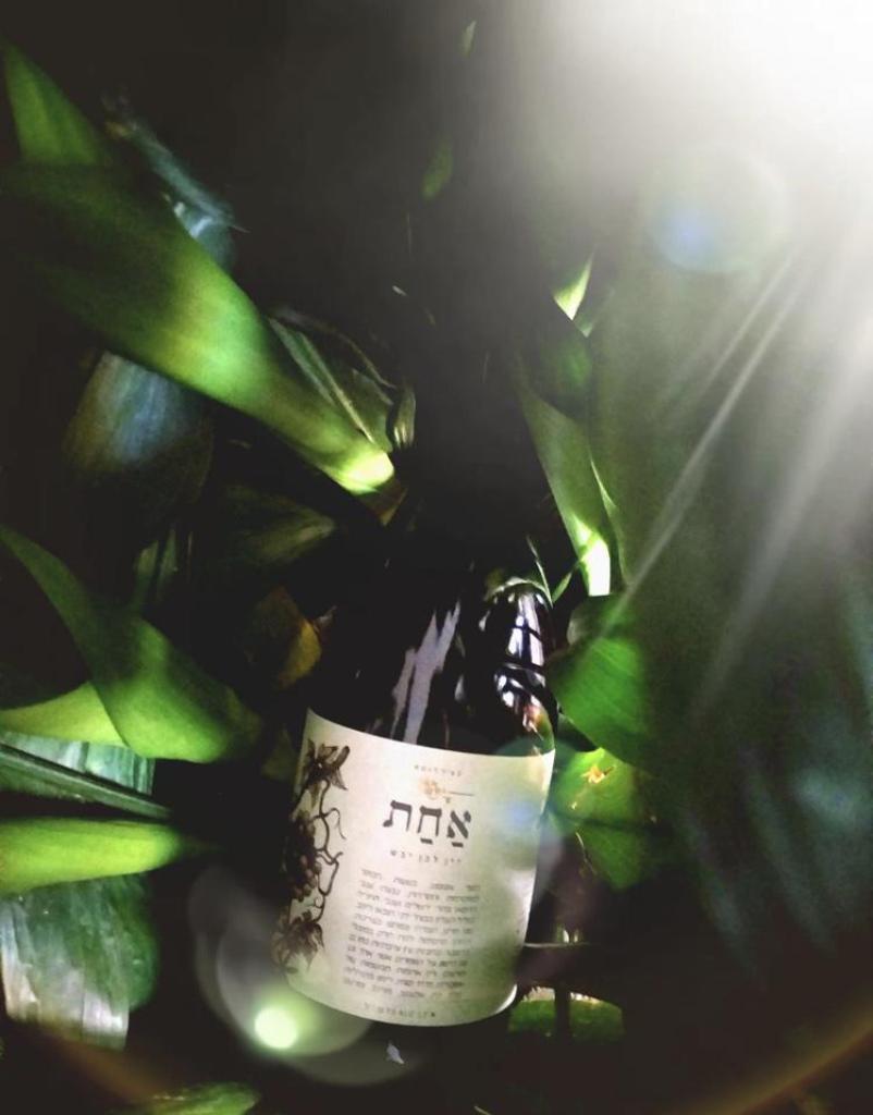 ארץ הצבי יין ואלכוהול ארץ הצבי יין ואלכוהול