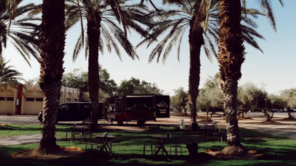 פלאפל ערבה פלאפל ערבה