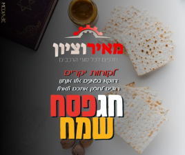 מאיר וציון חלפים לרכב  מנוהל