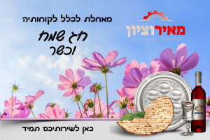 מאיר וציון חלפים לרכב  מנוהל