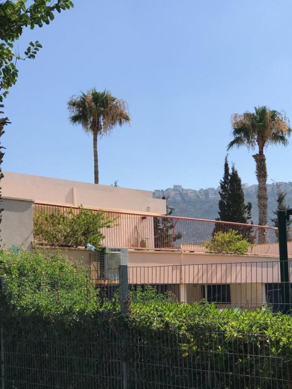 אוהד דהן אוהד דהן