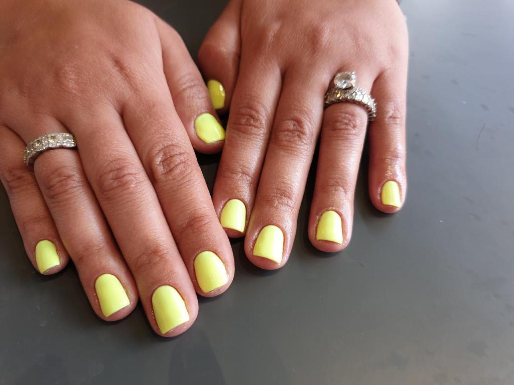 ביוטי הוליק ביוטי הוליק