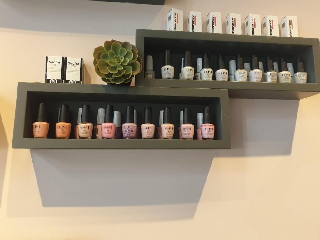 ביוטי הוליק ביוטי הוליק