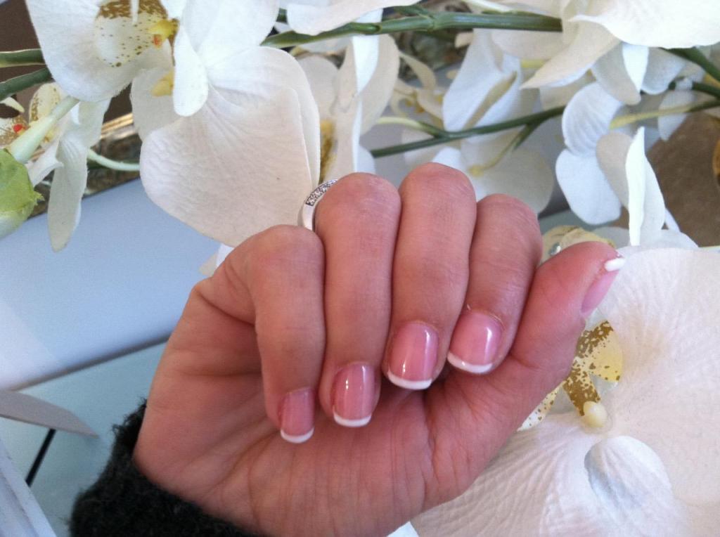 שלומית בר תור שלומית בר תור