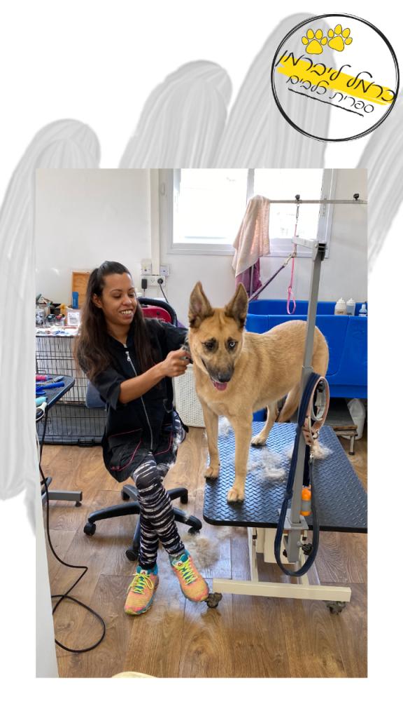 כרמל ליברמן כרמל ליברמן