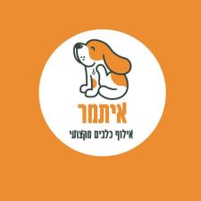 הפנסיון של איתמר