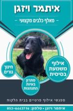 הפנסיון של איתמר