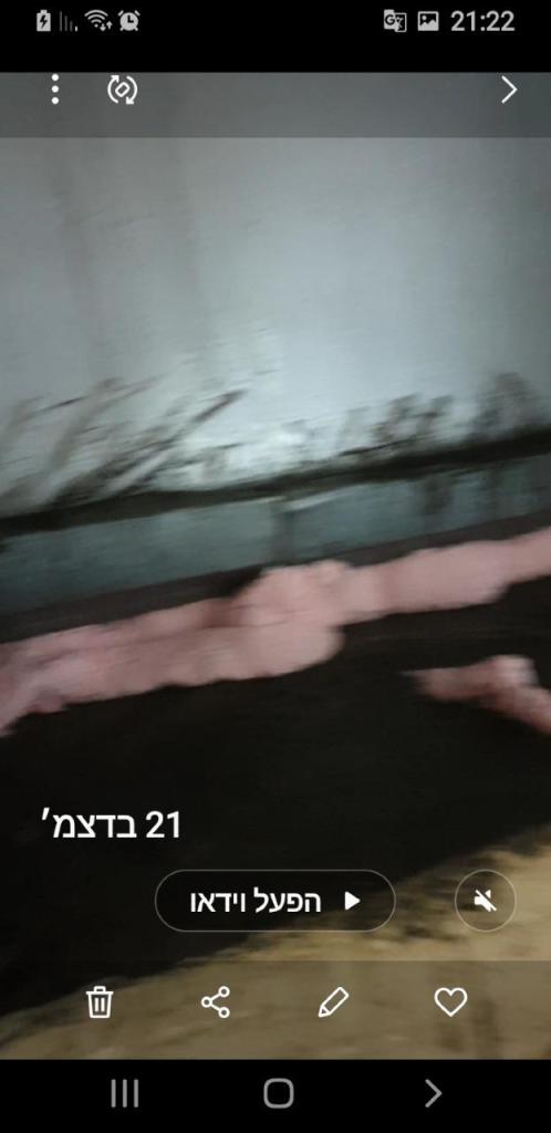 אילן חיימי הנדימן אילן חיימי הנדימן