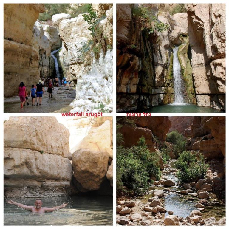 נדיה אירוח ים המלח נדיה אירוח ים המלח