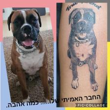 Mk tattoo studio