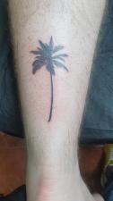 Mk tattoo studio