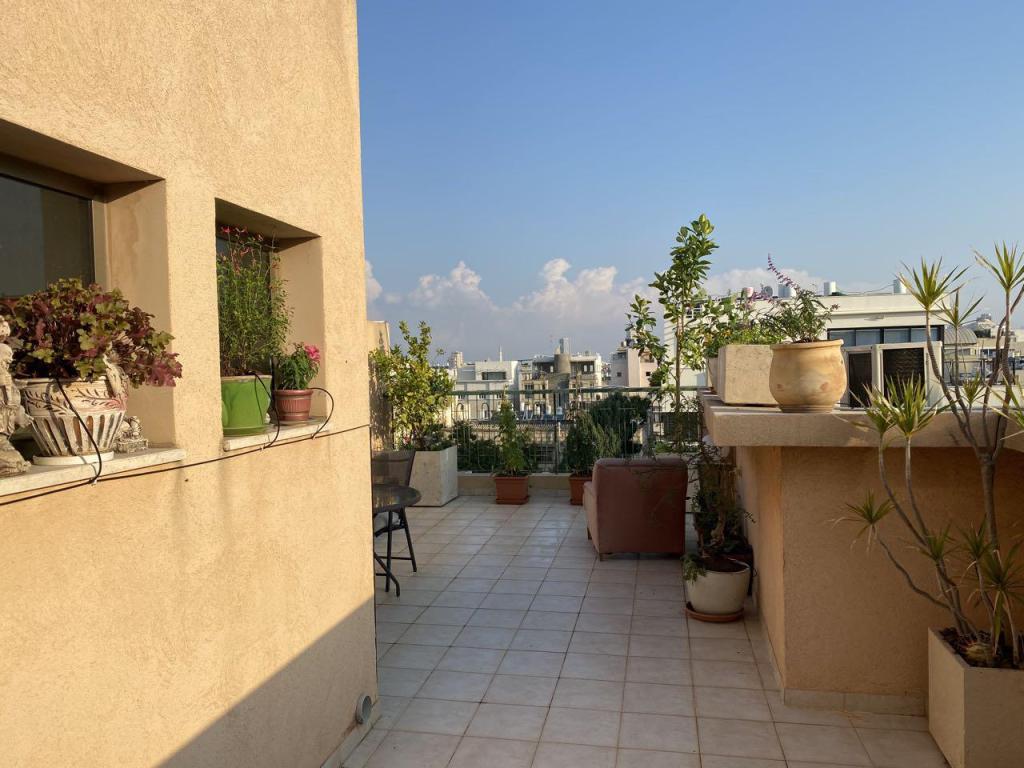 האחים פנחסי האחים פנחסי