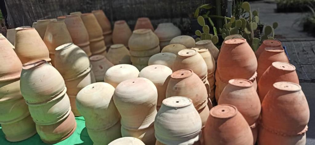 משתלת אורגינלי משתלת אורגינלי