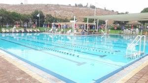הבריכה שלי גן נר