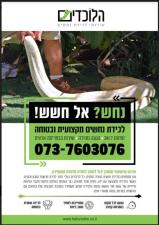 הלוכדים