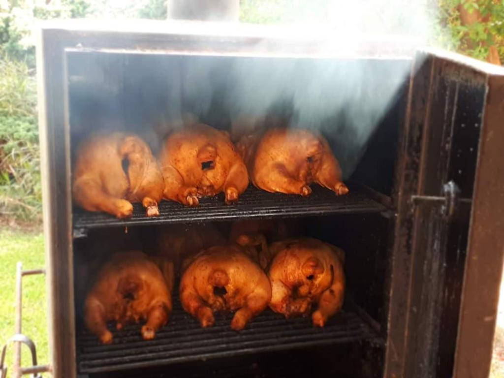 יניב והכוסברה יניב והכוסברה