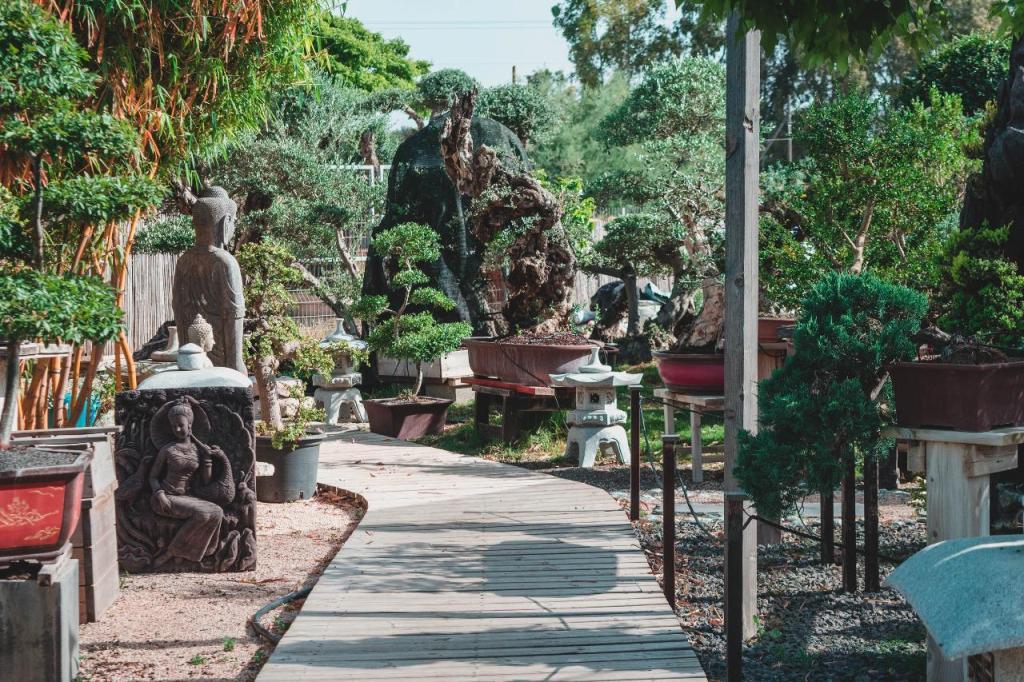 המשתלה היפנית המשתלה היפנית