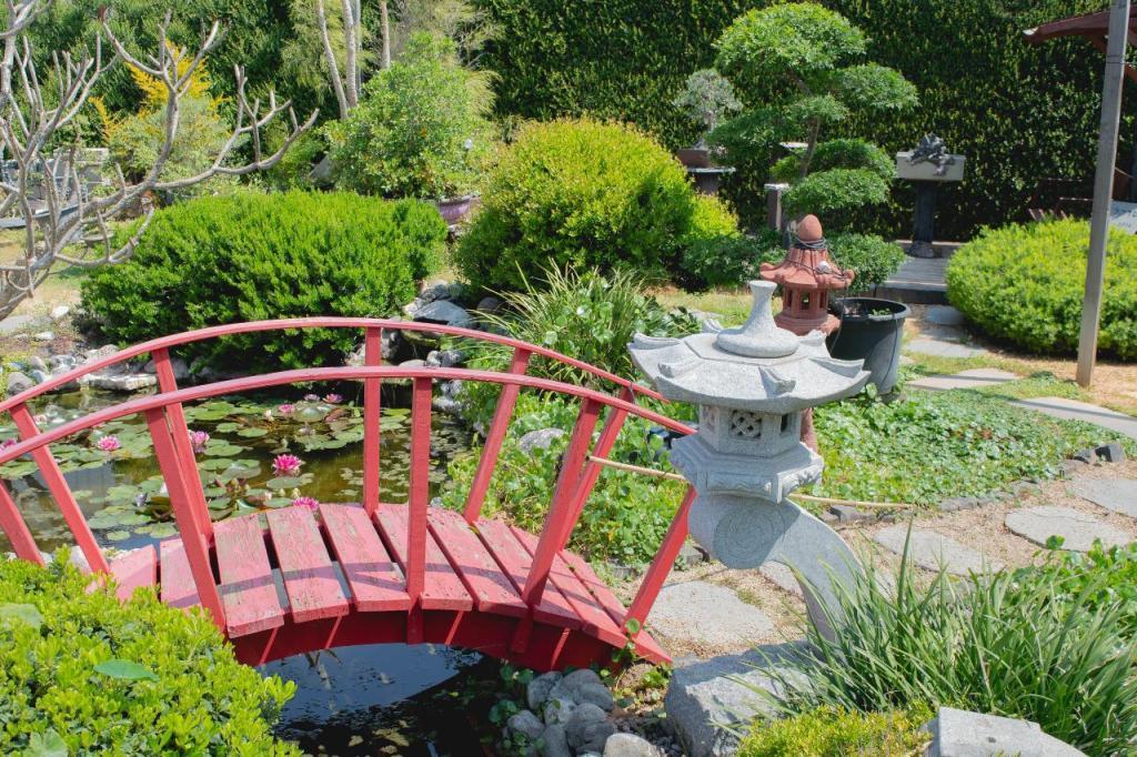 המשתלה היפנית המשתלה היפנית